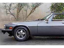 1987 Jaguar XJS (CC-2055561) for sale in Beverly Hills, California