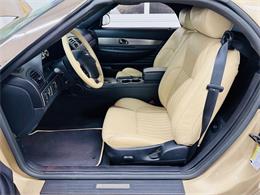 2005 Ford Thunderbird (CC-2055676) for sale in Mundelein, Illinois