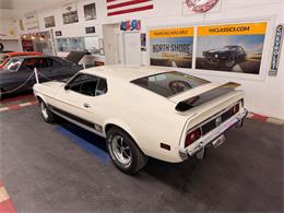 1973 Ford Mustang (CC-2055863) for sale in Mundelein, Illinois