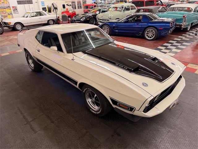 1973 Ford Mustang (CC-2055863) for sale in Mundelein, Illinois