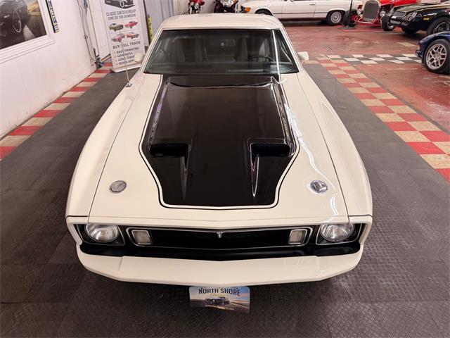 1973 Ford Mustang (CC-2055863) for sale in Mundelein, Illinois