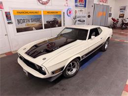 1973 Ford Mustang (CC-2055863) for sale in Mundelein, Illinois