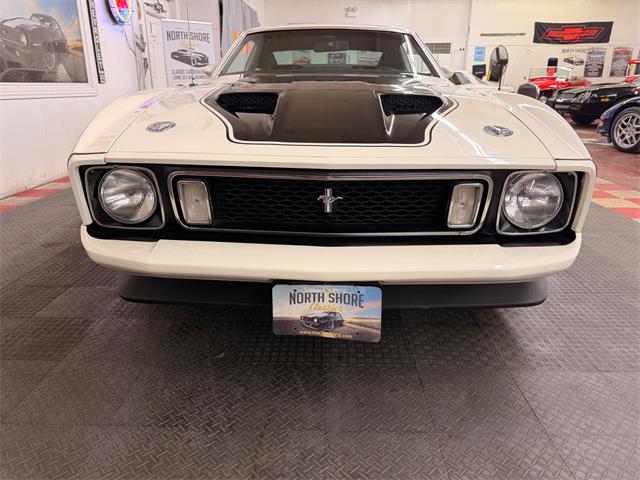1973 Ford Mustang (CC-2055863) for sale in Mundelein, Illinois