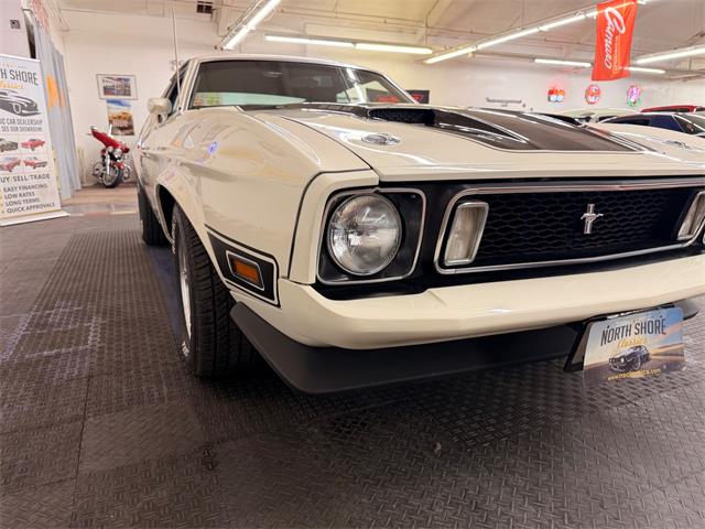 1973 Ford Mustang (CC-2055863) for sale in Mundelein, Illinois