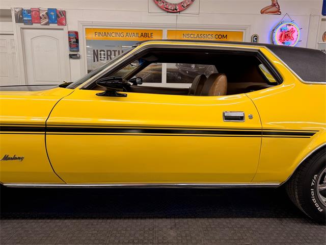 1973 Ford Mustang (CC-2055866) for sale in Mundelein, Illinois