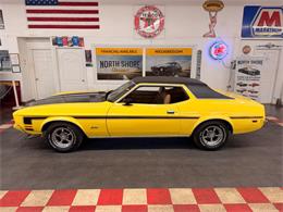 1973 Ford Mustang (CC-2055866) for sale in Mundelein, Illinois