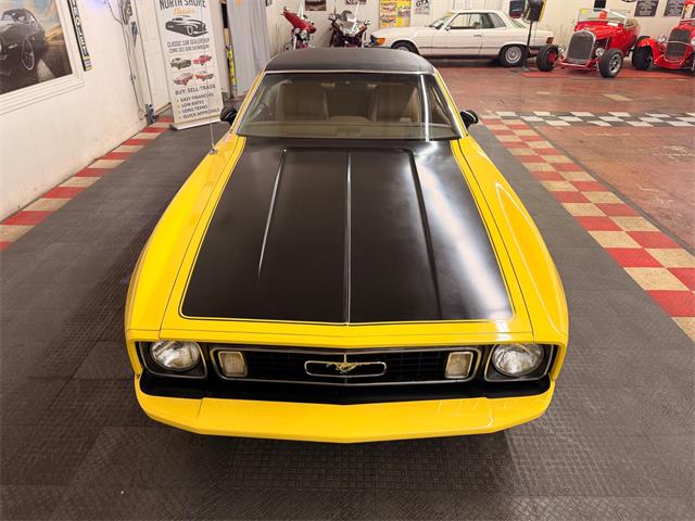 1973 Ford Mustang (CC-2055866) for sale in Mundelein, Illinois