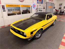 1973 Ford Mustang (CC-2055866) for sale in Mundelein, Illinois