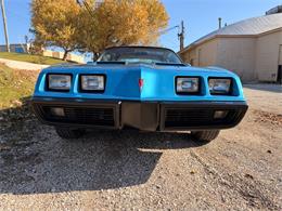 1979 Pontiac Firebird (CC-2055896) for sale in Mundelein, Illinois