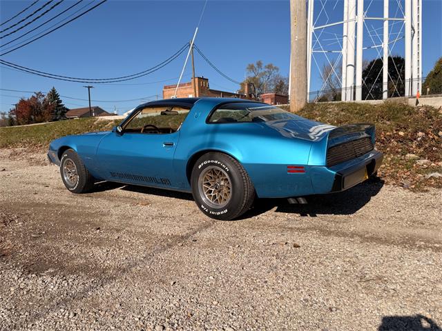 1979 Pontiac Firebird (CC-2055896) for sale in Mundelein, Illinois