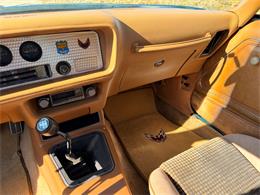 1979 Pontiac Firebird (CC-2055896) for sale in Mundelein, Illinois