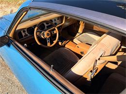 1979 Pontiac Firebird (CC-2055896) for sale in Mundelein, Illinois