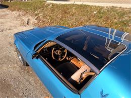 1979 Pontiac Firebird (CC-2055896) for sale in Mundelein, Illinois