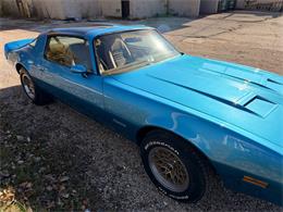 1979 Pontiac Firebird (CC-2055896) for sale in Mundelein, Illinois