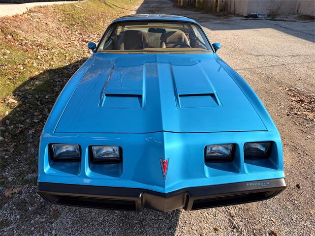1979 Pontiac Firebird (CC-2055896) for sale in Mundelein, Illinois