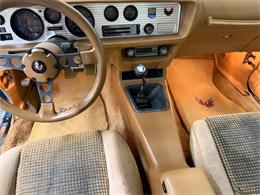 1979 Pontiac Firebird (CC-2055896) for sale in Mundelein, Illinois