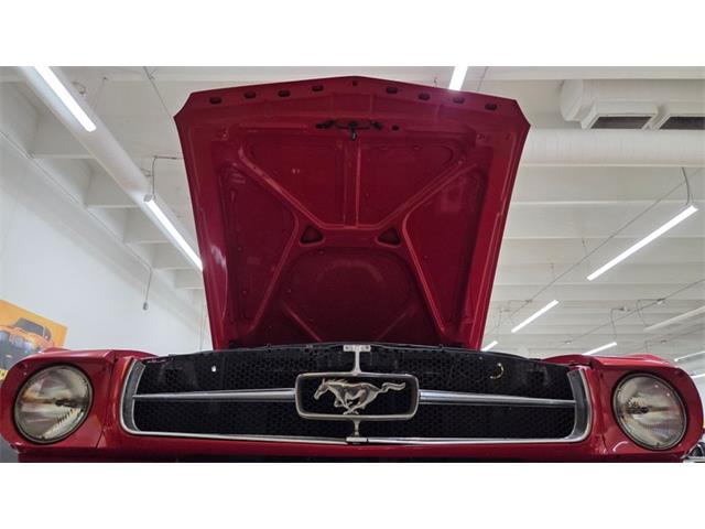 1965 Ford Mustang (CC-2056052) for sale in Mankato, Minnesota