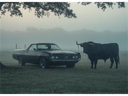 1971 Ford Ranchero (CC-2056136) for sale in Midlothian, Texas