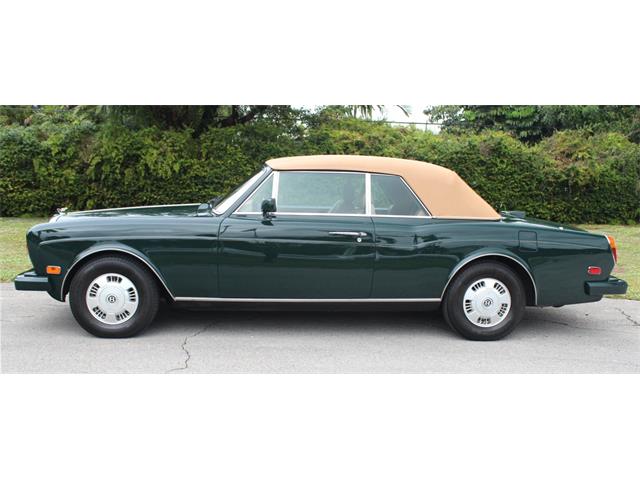 1994 Bentley Continental IV (CC-2056206) for sale in North Miami , Florida