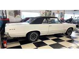 1964 Pontiac GTO (CC-2050621) for sale in Malone, New York
