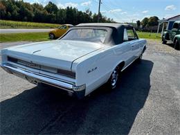 1964 Pontiac GTO (CC-2050621) for sale in Malone, New York