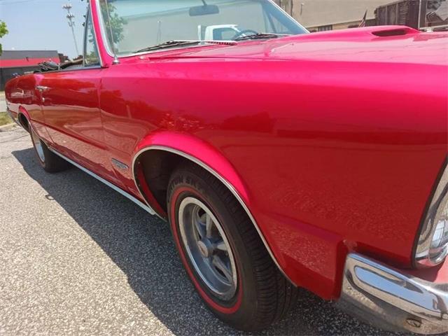 1965 Pontiac GTO (CC-2050643) for sale in Malone, New York
