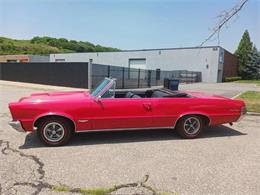 1965 Pontiac GTO (CC-2050643) for sale in Malone, New York