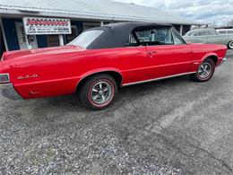 1965 Pontiac GTO (CC-2050643) for sale in Malone, New York