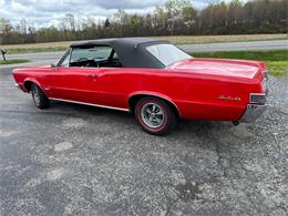1965 Pontiac GTO (CC-2050643) for sale in Malone, New York