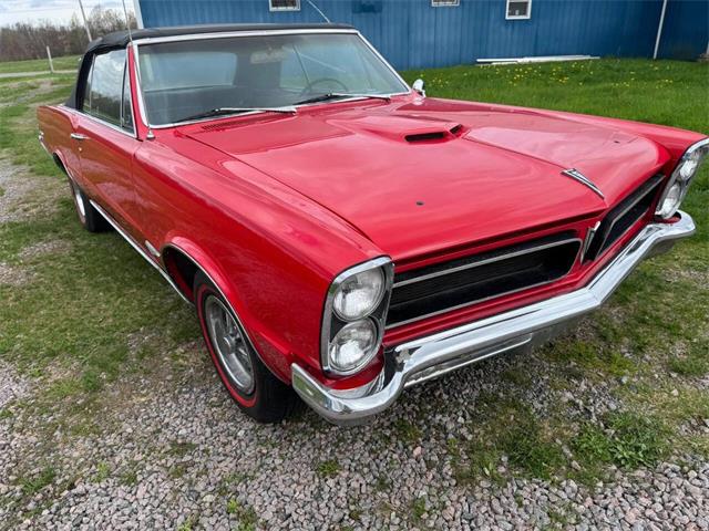 1965 Pontiac GTO (CC-2050643) for sale in Malone, New York