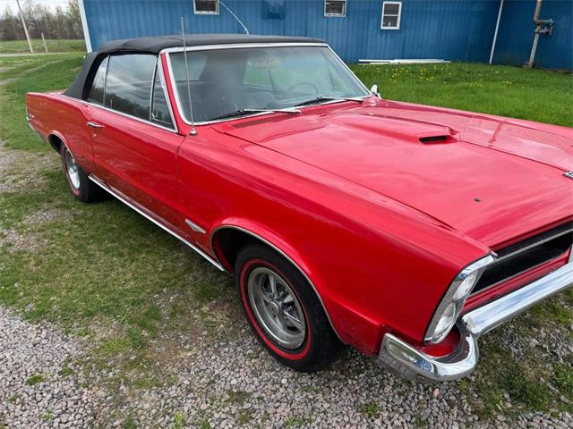 1965 Pontiac GTO (CC-2050643) for sale in Malone, New York