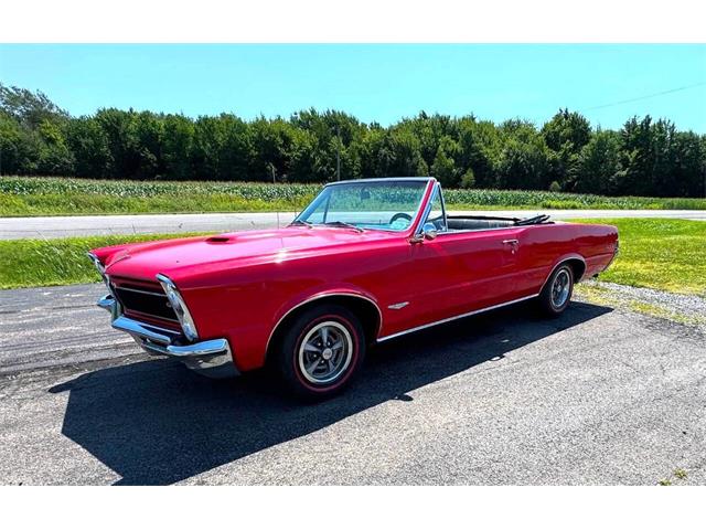1965 Pontiac GTO (CC-2050643) for sale in Malone, New York