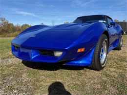 1979 Chevrolet Corvette (CC-2050701) for sale in Malone, New York