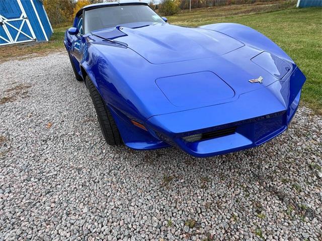 1979 Chevrolet Corvette (CC-2050701) for sale in Malone, New York