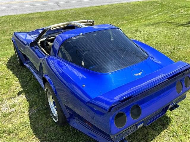 1979 Chevrolet Corvette (CC-2050701) for sale in Malone, New York