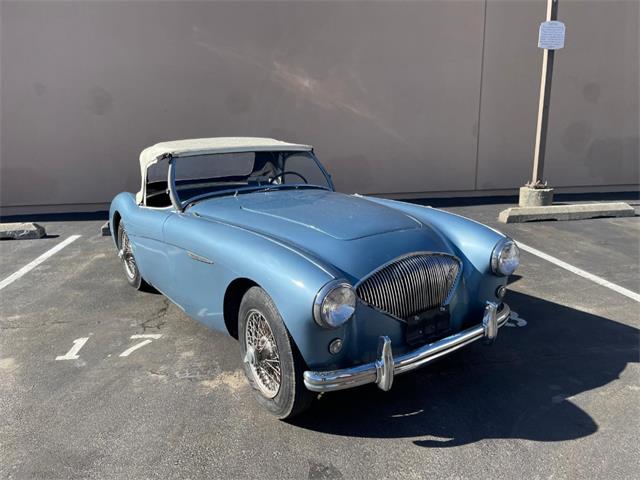 1955 Austin-Healey 100-4 (CC-2057061) for sale in Astoria, New York