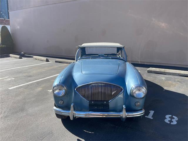 1955 Austin-Healey 100-4 (CC-2057061) for sale in Astoria, New York