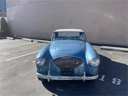 1955 Austin-Healey 100-4 (CC-2057061) for sale in Astoria, New York
