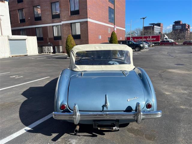 1955 Austin-Healey 100-4 (CC-2057061) for sale in Astoria, New York