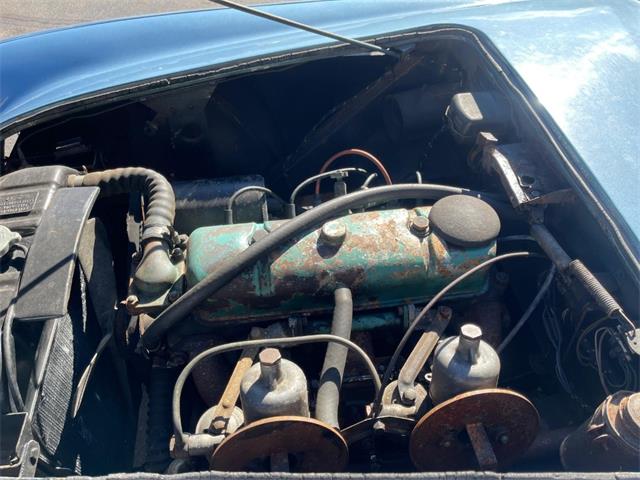 1955 Austin-Healey 100-4 (CC-2057061) for sale in Astoria, New York