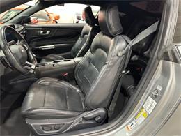 2024 Ford Mustang (CC-2057403) for sale in Dallas, Texas