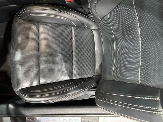 2024 Ford Mustang (CC-2057403) for sale in Dallas, Texas
