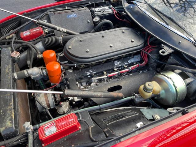1972 Ferrari 365 GTB/4 (CC-2057453) for sale in Astoria, New York