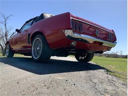 1969 Ford Mustang (CC-2057755) for sale in Fredericksburg, Texas