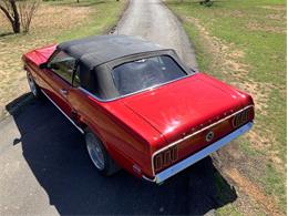 1969 Ford Mustang (CC-2057755) for sale in Fredericksburg, Texas