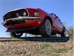 1969 Ford Mustang (CC-2057755) for sale in Fredericksburg, Texas