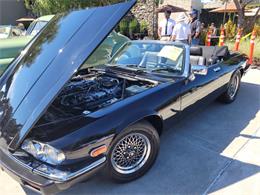 1989 Jaguar S-Type (CC-2057901) for sale in San Luis Obispo, California