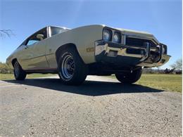 1972 Buick Skylark (CC-2058018) for sale in Fredericksburg, Texas