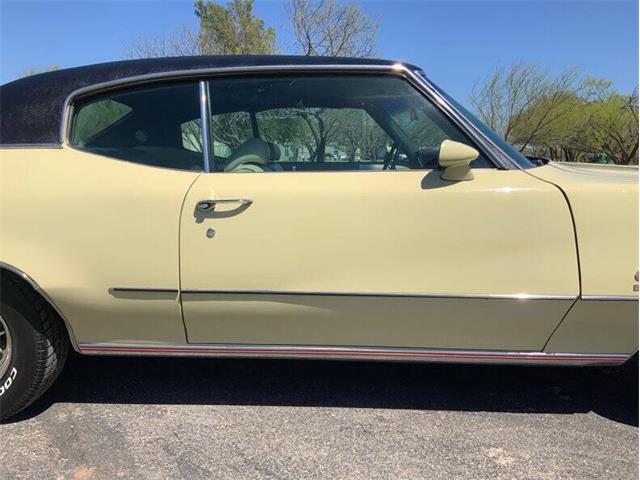 1972 Buick Skylark (CC-2058018) for sale in Fredericksburg, Texas