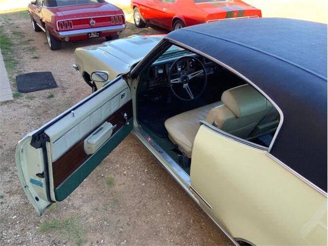 1972 Buick Skylark (CC-2058018) for sale in Fredericksburg, Texas